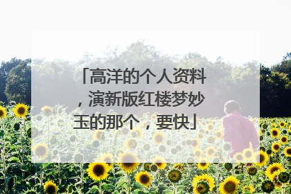 高洋的个人资料，演新版红楼梦妙玉的那个，要快