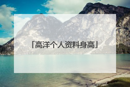 高洋个人资料身高