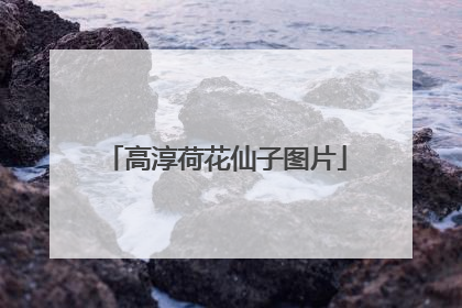 高淳荷花仙子图片