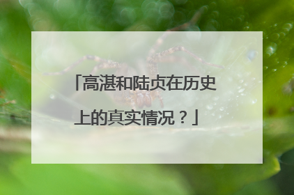 高湛和陆贞在历史上的真实情况?