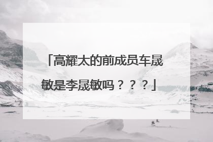 高耀太的前成员车晟敏是李晟敏吗???