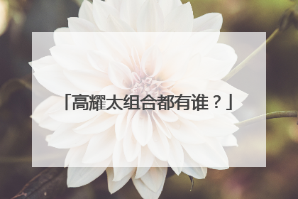 高耀太组合都有谁?