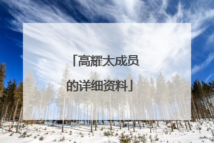 高耀太成员的详细资料