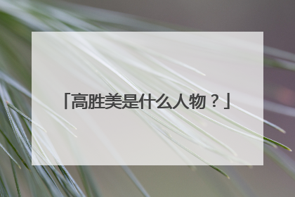 高胜美是什么人物？