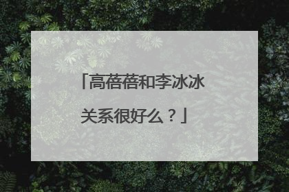 高蓓蓓和李冰冰关系很好么?