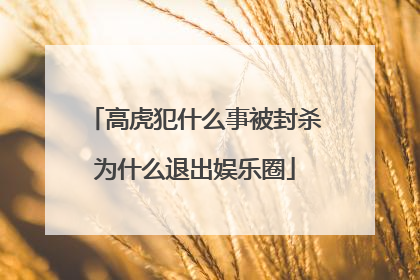 高虎犯什么事被封杀为什么退出娱乐圈
