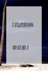 高虎的前妻是谁