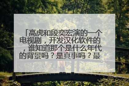 高虎和段奕宏演的一个电视剧,开发汉化软件的,谁知道那个是什么年代的背景吗?是真事吗?最后成功了吗?