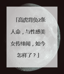 高虎背负2条人命,与性感美女传绯闻,如今怎样了?