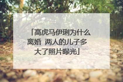 高虎马伊琍为什么离婚 两人的儿子多大了照片曝光