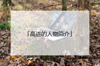 高进的人物简介