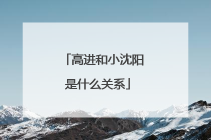 高进和小沈阳是什么关系