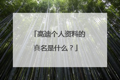 高迪个人资料的真名是什么？