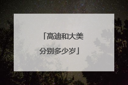 高迪和大美分别多少岁
