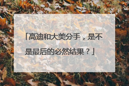 高迪和大美分手，是不是最后的必然结果？