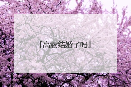 高露结婚了吗