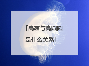 高露与高圆圆是什么关系