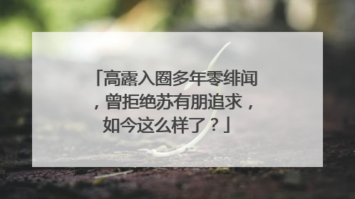 高露入圈多年零绯闻,曾拒绝苏有朋追求,如今这么样了?