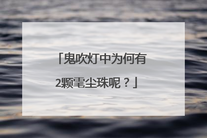 鬼吹灯中为何有2颗雮尘珠呢?