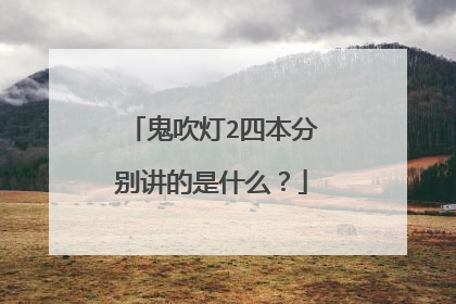 鬼吹灯2四本分别讲的是什么？