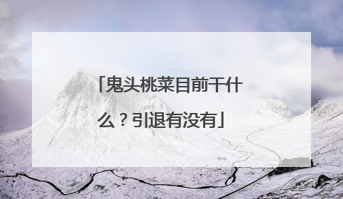鬼头桃菜目前干什么?引退有没有