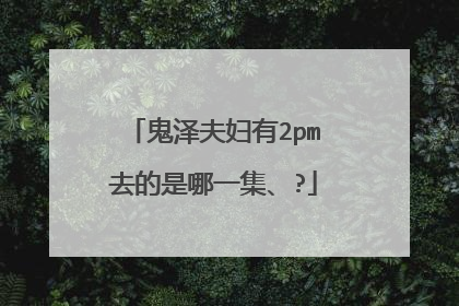 鬼泽夫妇有2pm去的是哪一集、?