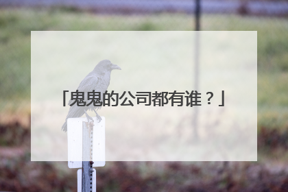 鬼鬼的公司都有谁？