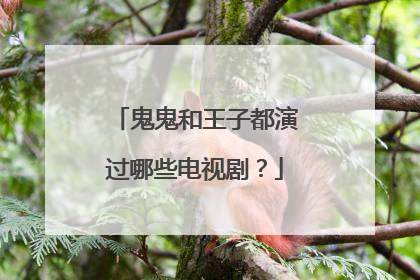 鬼鬼和王子都演过哪些电视剧？