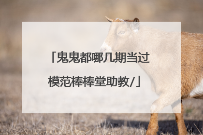 鬼鬼都哪几期当过模范棒棒堂助教/