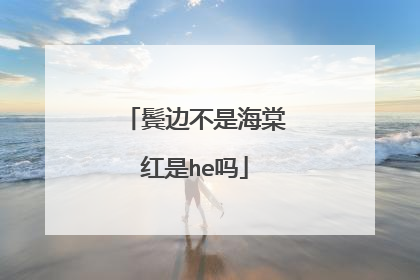 鬓边不是海棠红是he吗