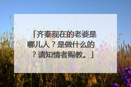 齐秦现在的老婆是哪儿人？是做什么的？请知情者赐教。