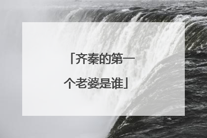 齐秦的第一个老婆是谁