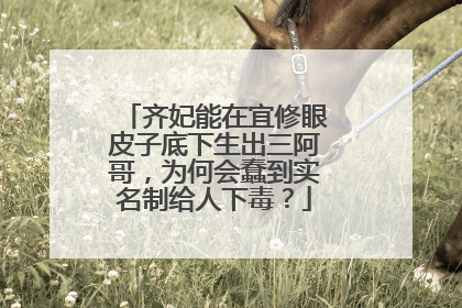 齐妃能在宜修眼皮子底下生出三阿哥，为何会蠢到实名制给人下毒？