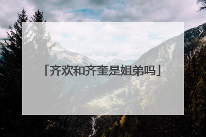 齐欢和齐奎是姐弟吗