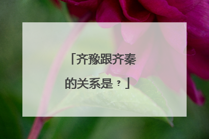 齐豫跟齐秦的关系是﹖