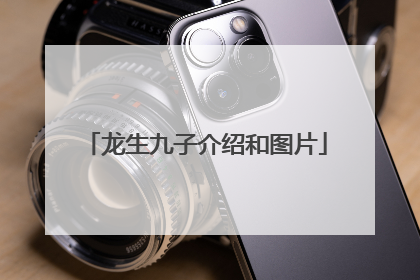 龙生九子介绍和图片