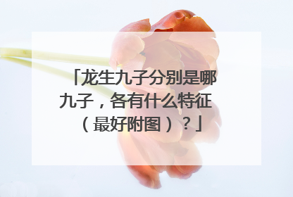龙生九子分别是哪九子，各有什么特征（最好附图）？