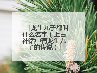 龙生九子都叫什么名字（上古神话中有龙生九子的传说）
