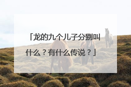 龙的九个儿子分别叫什么？有什么传说？