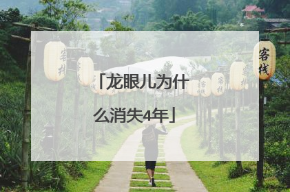 龙眼儿为什么消失4年
