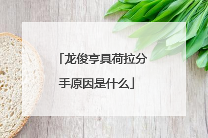 龙俊亨具荷拉分手原因是什么