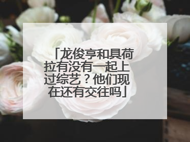 龙俊亨和具荷拉有没有一起上过综艺？他们现在还有交往吗