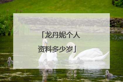 龙丹妮个人资料多少岁