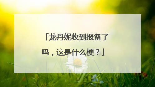 龙丹妮收到报备了吗，这是什么梗？