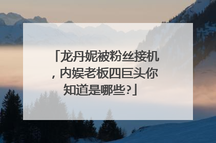 龙丹妮被粉丝接机，内娱老板四巨头你知道是哪些?