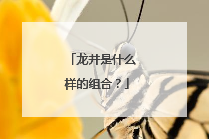 龙井是什么样的组合？