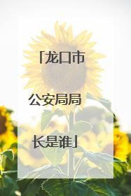 龙口市公安局局长是谁