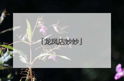 龙凤店妙妙