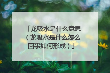 龙吸水是什么意思(龙吸水是什么怎么回事如何形成)