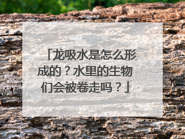 龙吸水是怎么形成的？水里的生物们会被卷走吗？